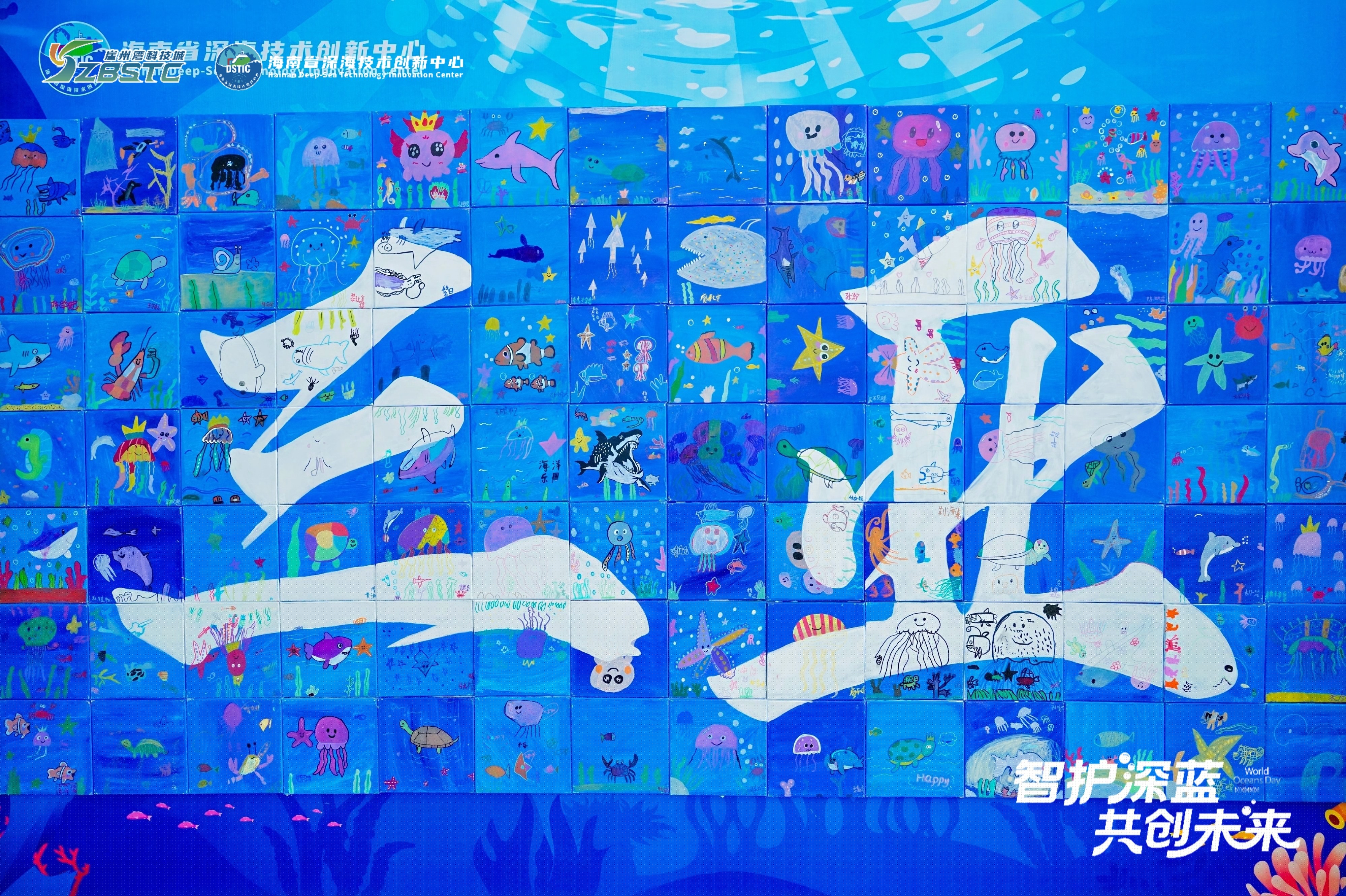 海南普惠海洋協(xié)辦“世界海洋日”活動(dòng)圓滿(mǎn)落幕